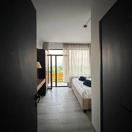 Hotel Amur